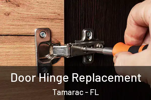  Door Hinge Replacement Tamarac - FL