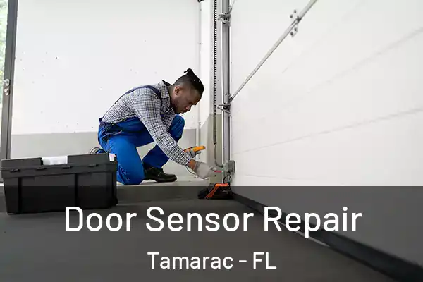 Door Sensor Repair Tamarac - FL
